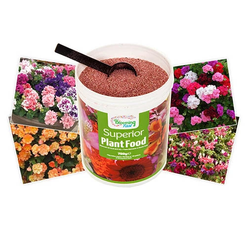 Blooming Fast Superior Soluble Fertiliser 1.25kg 5 Blooming Fast Superior Soluble Fertiliser 1.25kg - Image 5