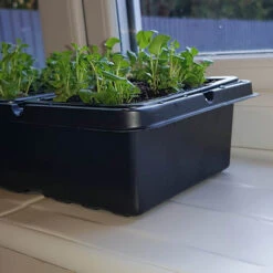 Pack Of 3 Windowsill Propagator Kits -Garden Plant Shop 120034 3