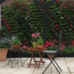 WonderWall Vertical Growing System - 10 Sections -Garden Plant Shop 130246 7