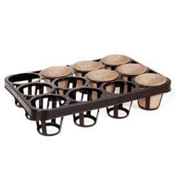 Skelly Tray X 3 And 36 Jiffy Bio Pots -Garden Plant Shop 130325 4