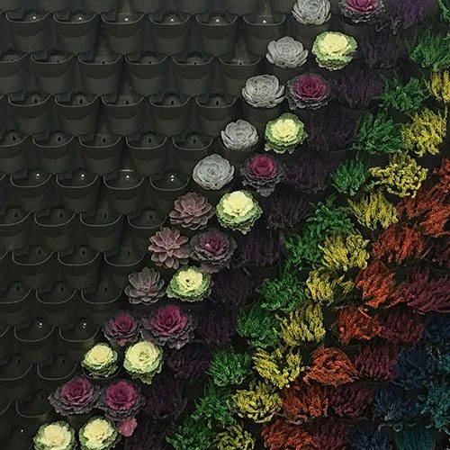 WonderWall - Single Section 4 WonderWall - Single Section - Image 4