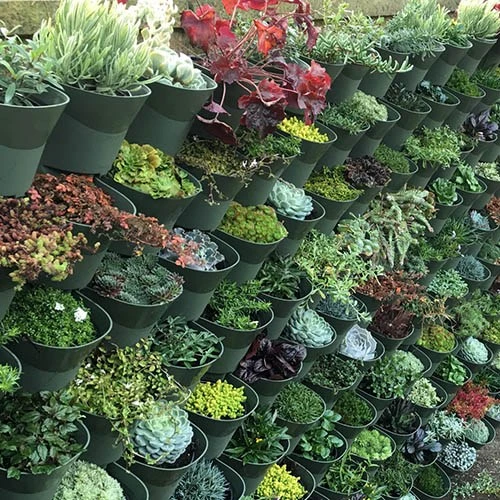 WonderWall - Single Section 7 WonderWall - Single Section - Image 7