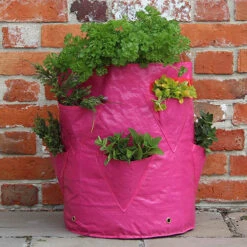 Strawberry And Herb Patio Planter Twin Pack -Garden Plant Shop 130497 2