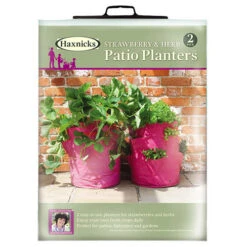 Strawberry And Herb Patio Planter Twin Pack -Garden Plant Shop 130497 4