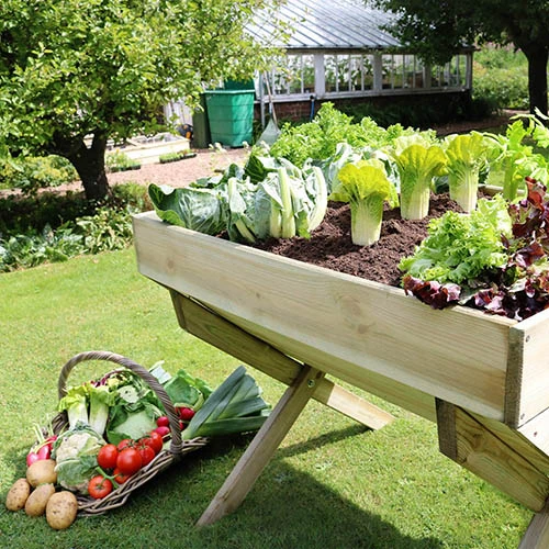 Vegetable Grow Bed-1m 1 Vegetable Grow Bed-1m