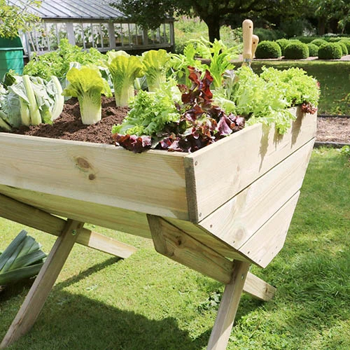 Vegetable Grow Bed-1m 2 Vegetable Grow Bed-1m - Image 2