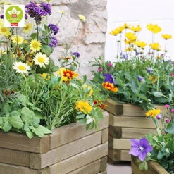 Marford Hexagonal Planter Set 7 Marford Hexagonal Planter Set -Garden Plant Shop 160098 3