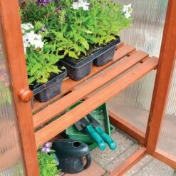 Hardwood Mini Greenhouse -Garden Plant Shop 160265 3