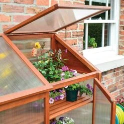 Hardwood Mini Greenhouse -Garden Plant Shop 160265 4