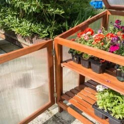 Hardwood Coldframe -Garden Plant Shop 160479 3