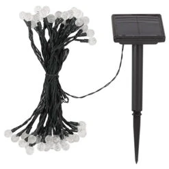 50 Super Bright Orbs -Garden Plant Shop 160940 2