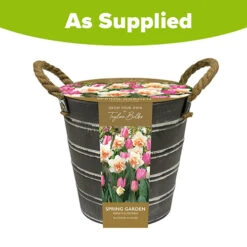 Outdoor Narcissi And Tulip Bucket Planter -Garden Plant Shop 161135 3