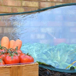 Pop Up Poly Cloche -Garden Plant Shop 161385 2