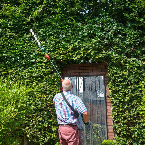 20v Cordless Long Reach Hedge Trimmer 6 20v Cordless Long Reach Hedge Trimmer - Image 6