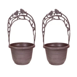 Narcissus 'T?te-?-T?te' Collection With Planters And Compost -Garden Plant Shop 201203 3