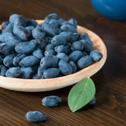 Honeyberry -Garden Plant Shop 310034 3