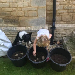 Complete Patio Potato Growing Kit -Garden Plant Shop 350007 5