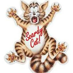 Coleus Canina 'Scardy Cat Plant' -Garden Plant Shop 400092 3