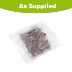 Ranunculus Mix -Garden Plant Shop 600214 2