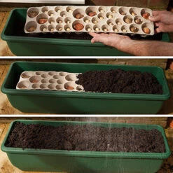 Blooming Fast Drop In Bulb Planter Balcony Beauty Pack -Garden Plant Shop 630107 5