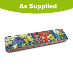 Blooming Fast Drop In Bulb Planter Balcony Beauty Pack -Garden Plant Shop 630107 6