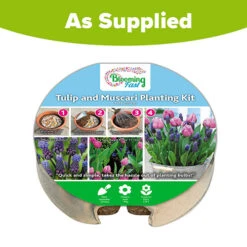 Blooming Fast Drop In Bulb Planter Tulip And Muscari Kit 9 Blooming Fast Drop In Bulb Planter Tulip And Muscari Kit -Garden Plant Shop 630187 4