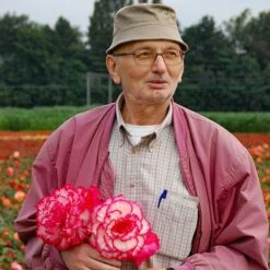 Belgian Giant Flowered Upright Begonias -Garden Plant Shop 630192 4