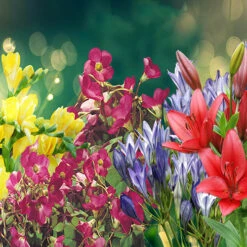 Garden Plant Shop -Garden Plant Shop 630217 1